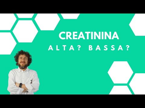 Creatinina alta: cosa significa e quando preoccuparsi