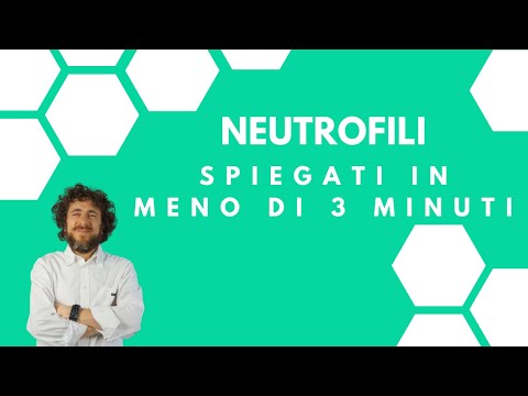 Globuli bianchi alti: cause e quando preoccuparsi