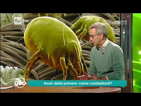 Puntura di acaro: sintomi e cosa fare