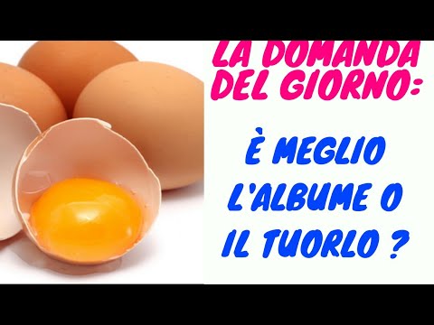 Quanto pesa un albume d'uovo: Tutto quello che devi sapere